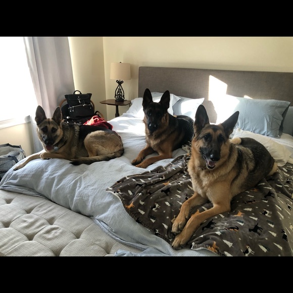 Meet your Posher, Allison - Picture 2 of 4